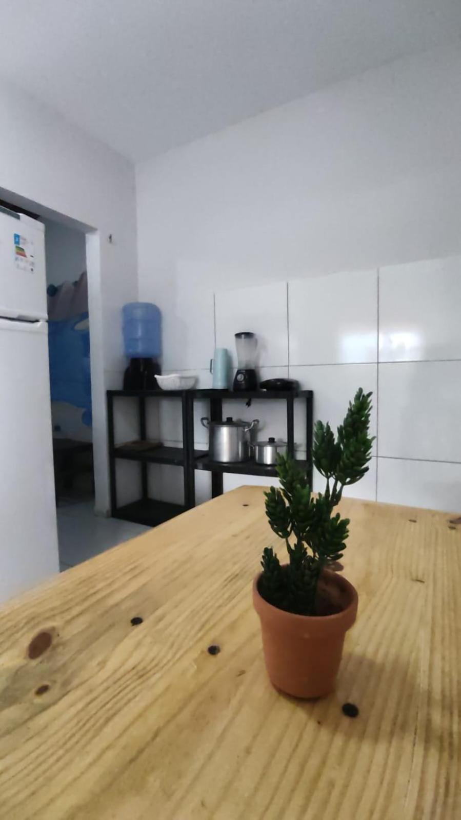 Santo Amaro do Maranhao Casa Do Artista - Santo Amaroヴィラ エクステリア 写真